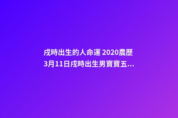 戌時出生的人命運 2020農歷3月11日戌時出生男寶寶五行八字是什么，八字還缺什么？（起名字作為參考）-第1張-觀點-玄機派